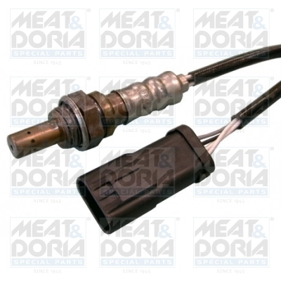 Oxygen Sensor